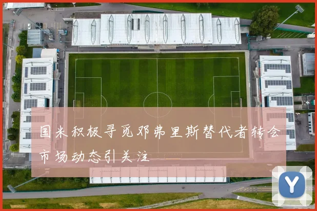 国米积极寻觅邓弗里斯替代者转会市场动态引关注